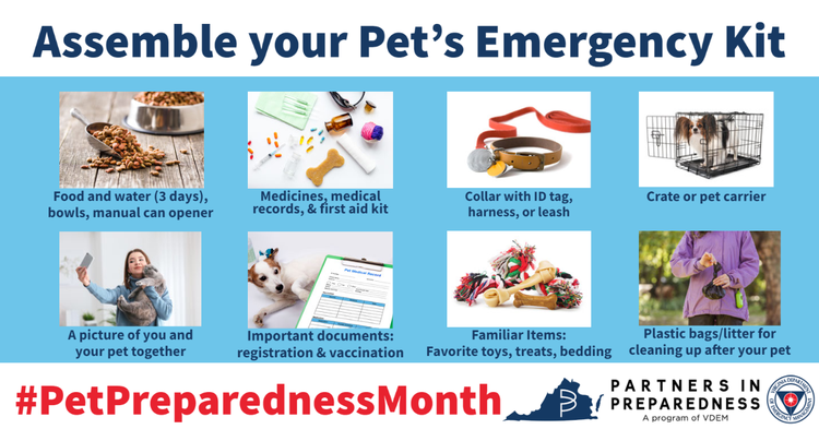 pet_preparedness_pet_emergency_kit