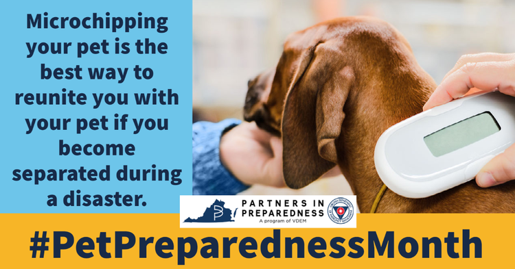 pet_preparedness_microchipping