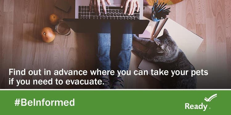 pet_preparedness_evacuation