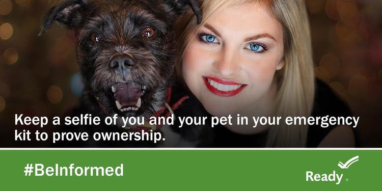 pet_preparedness_selfie