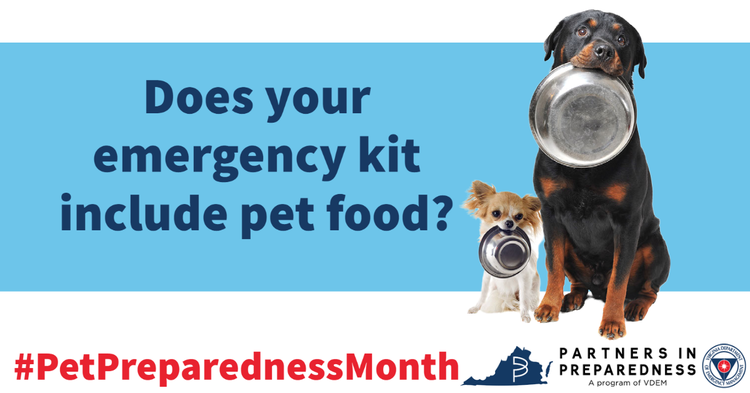pet_preparedness_pet_food